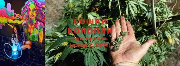 хмурый Заводоуковск