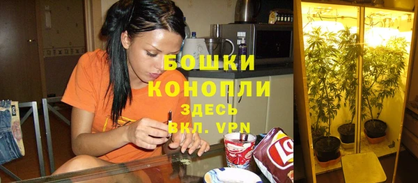 сатива Заволжск