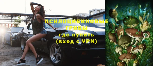 сатива Заволжск