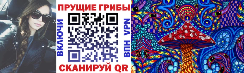 Галлюциногенные грибы Psilocybine cubensis  Купить  Пятигорск 