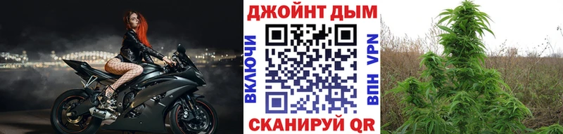 Купить где  Пятигорск  Бошки Шишки Bruce Banner 